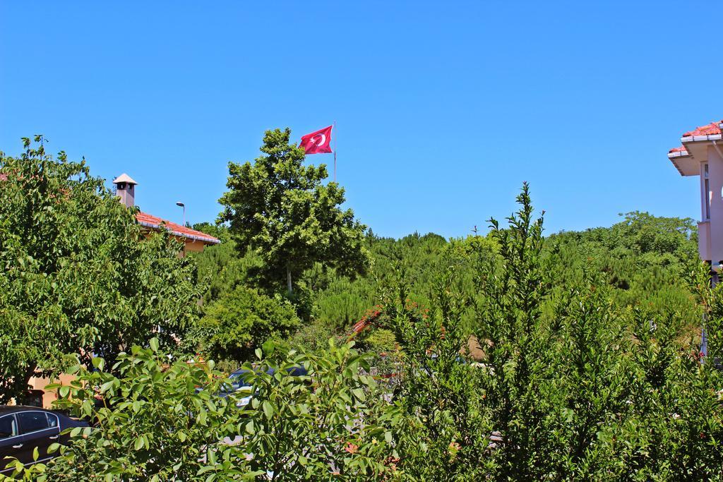 Agva Sahil Yildizi Hotel מראה חיצוני תמונה
